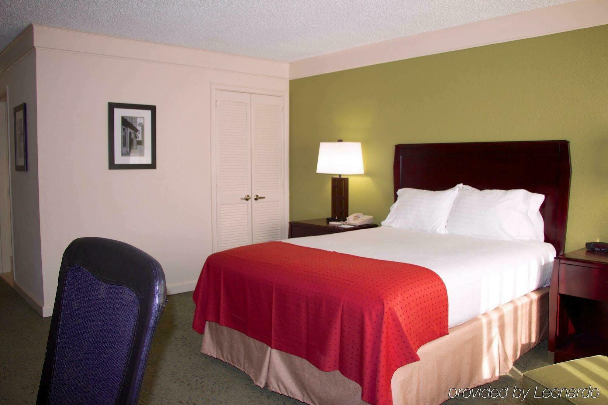 Holiday Inn Athens - University Area Luaran gambar